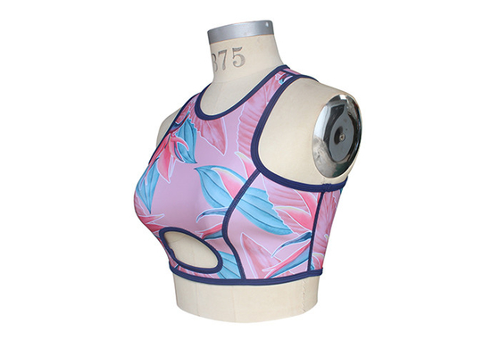 Sublimação superior surfando do roupa de mergulho mulheres flexíveis/superiores do neopreno impressa fornecedor