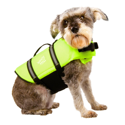Revestimento de vida verde do cão do revestimento do flutuador para nadar o punho ajustável e reflexivo da garra fornecedor